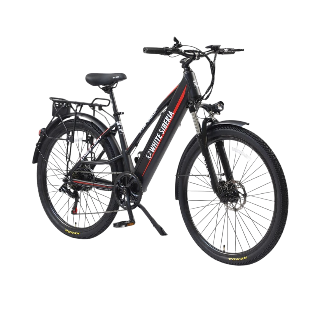 CAMRY LIGHT 500WМР